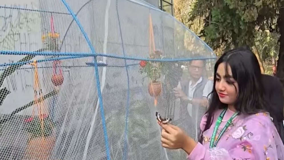 ‘উড়লে আকাশে প্রজাপতি, প্রকৃতি পায় নতুন গতি’
