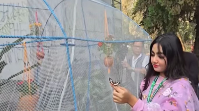 ‘উড়লে আকাশে প্রজাপতি, প্রকৃতি পায় নতুন গতি’