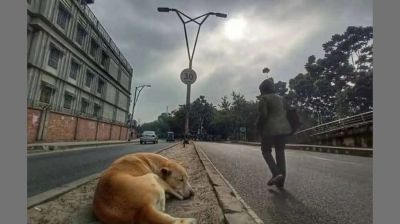 কুয়াশা ভেদ করে উঁকি দিল সূর্য