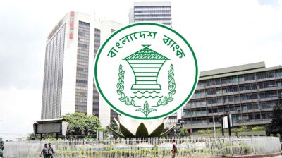 রিজার্ভ বেড়ে ৩৩.১৮ বিলিয়ন ডলার