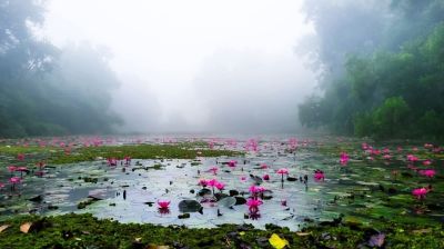 শীতের সজীবতায় রাঙানো এক সকাল
