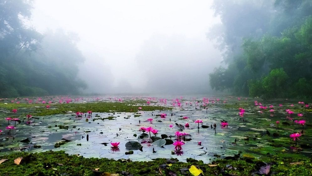 শীতের সজীবতায় রাঙানো এক সকাল