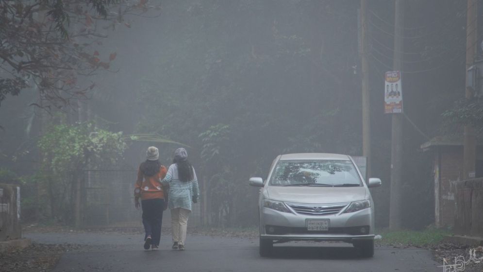 শীত, সকাল ও সখ্যতা