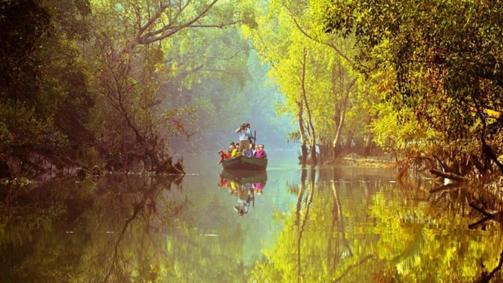 প্রকৃতির বিস্ময়ে ঘেরা সুন্দরবন