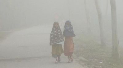 কুয়াশা নিয়ে আবহাওয়া অফিসের নতুন বার্তা