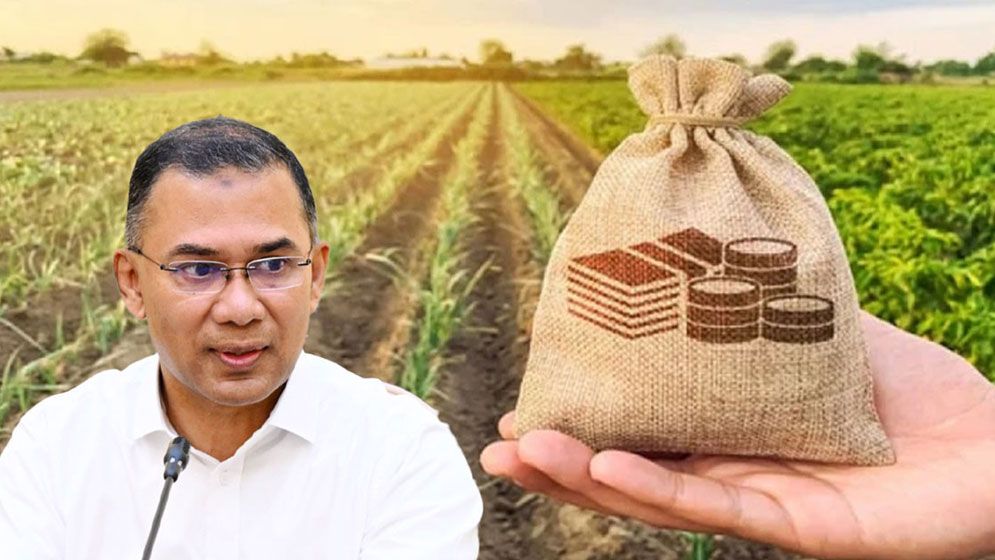 ১২ লাখ কৃষকের ১০ হাজার টাকা পর্যন্ত কৃষিঋণ সুদসহ মওকুফ করছে সরকার