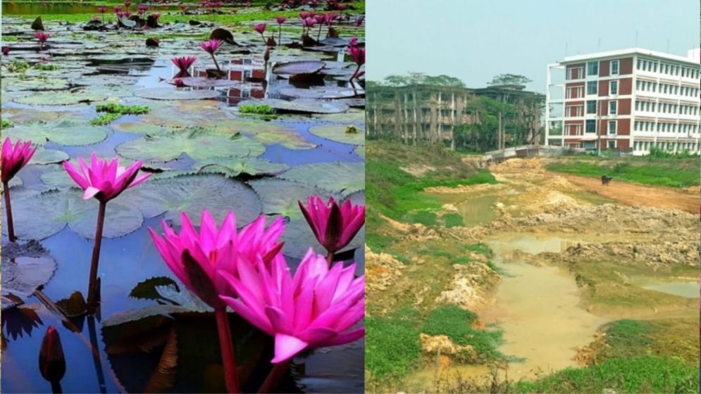 শাবিপ্রবিতে লেক ভরাট করে গ্যারেজ নির্মাণ, শিক্ষার্থীদের ক্ষোভ