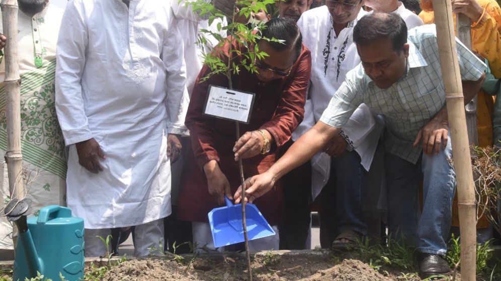 পাঁচ বছরে ৩ লাখ বৃক্ষরোপণের পরিকল্পনা ডিএসসিসির