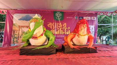 ব্যাঙকে বর সাজিয়ে নিয়ে যাওয়া হয় কলাভবনে, দেওয়া হয় বিয়ে
