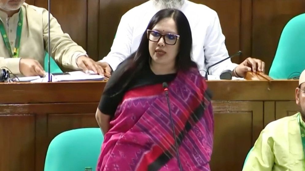 মবের শহরে পরিণত হয়েছে দেশ: রুমিন ফারহানা