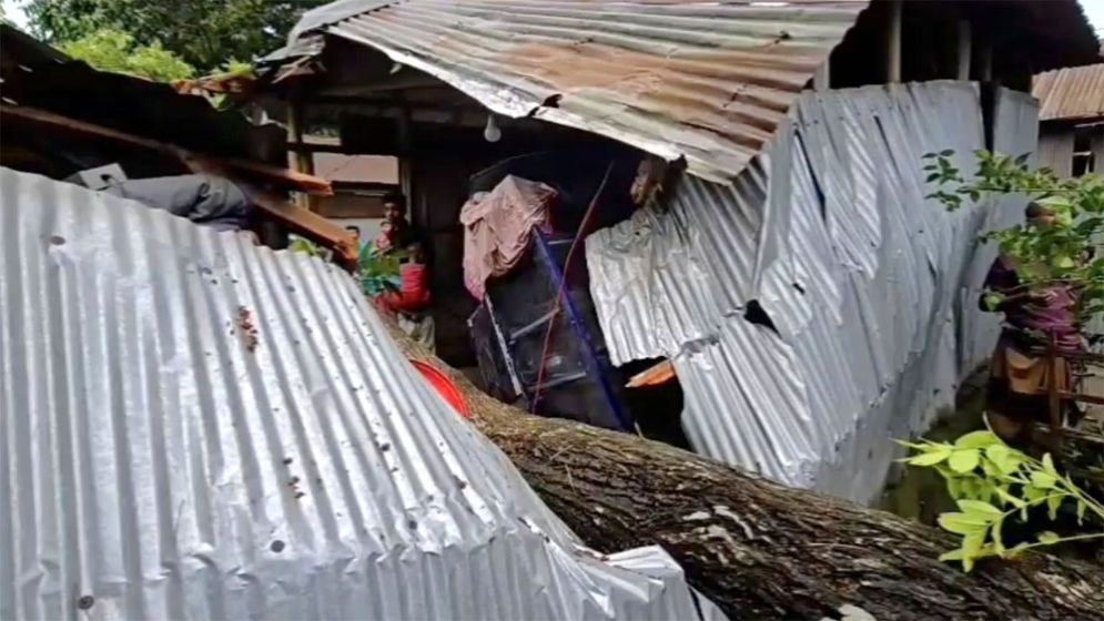 ঠাকুরগাঁওয়ে কালবৈশাখী ঝড়ে বিধ্বস্ত ঘরবাড়ি ও ফসলে ব্যাপক ক্ষতি