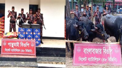 সিলেট সীমান্তে বিজিবির অভিযানে প্রায় ২ কোটি টাকার চোরাচালানি পণ্য জব্দ
