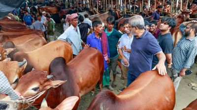 কোরবানিতে দেশব্যাপী পশুর হাট বসছে ৩ হাজার ৬০০টি, রাজধানীতে ২৭