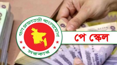 নতুন পে স্কেল: শিক্ষক-কর্মচারীদের কার কত বেতন বাড়ছে