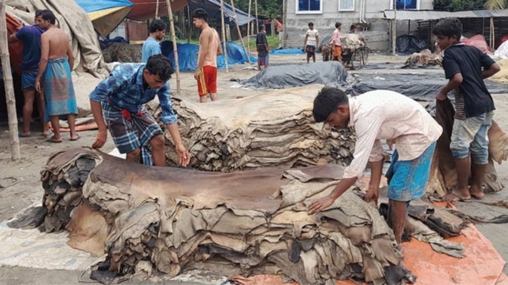 চামড়ার বাজারে ধস, লোকসানের মুখে মৌসুমি ব্যবসায়ীরা
