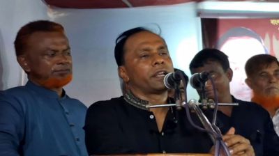 লাখো জিয়া নয়, সমাজে একজন জিয়াই যথেষ্ট: ডেপুটি স্পিকার