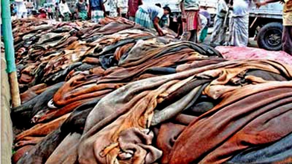 বগুড়ায় চামড়া ব্যবসায় মূলধন হারিয়ে বিপাকে ক্ষুদ্র ব্যবসায়ীরা