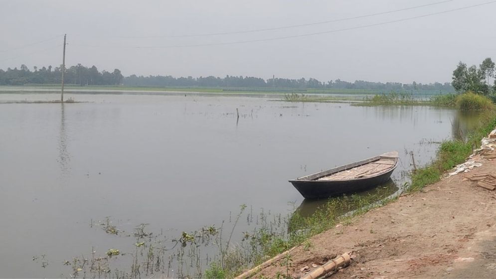 বাড়ছে যমুনার পানি, প্লাবিত হচ্ছে নিম্নাঞ্চল