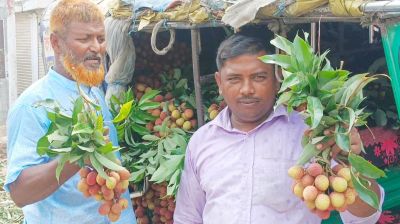দিনাজপুরে লিচুর বাজার জমজমাট, কোটি টাকার বাণিজ্যের আশা