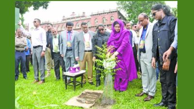 বৃক্ষরোপণ কর্মসূচির উদ্বোধন করলেন ডা. জুবাইদা