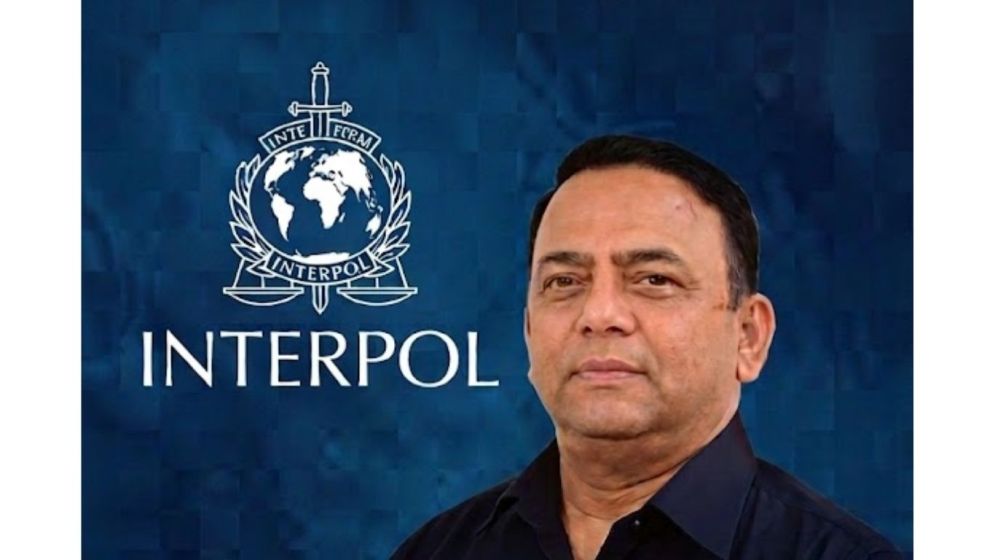 ইন্টারপোল আসলে কী, কীভাবে কাজ করে এই বৈশ্বিক নেটওয়ার্ক?
