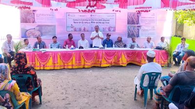 ঠাকুরগাঁওয়ে ব্রি ধান-১০২ আবাদ সম্প্রসারণে মাঠ দিবস ও কৃষকদের সচেতনতা সভা