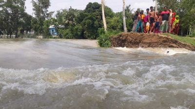 যমুনায় পানি বাড়ছে, সিরাজগঞ্জের চর সলিমাবাদে ১২০ মিটার নদীগর্ভে বিলীন