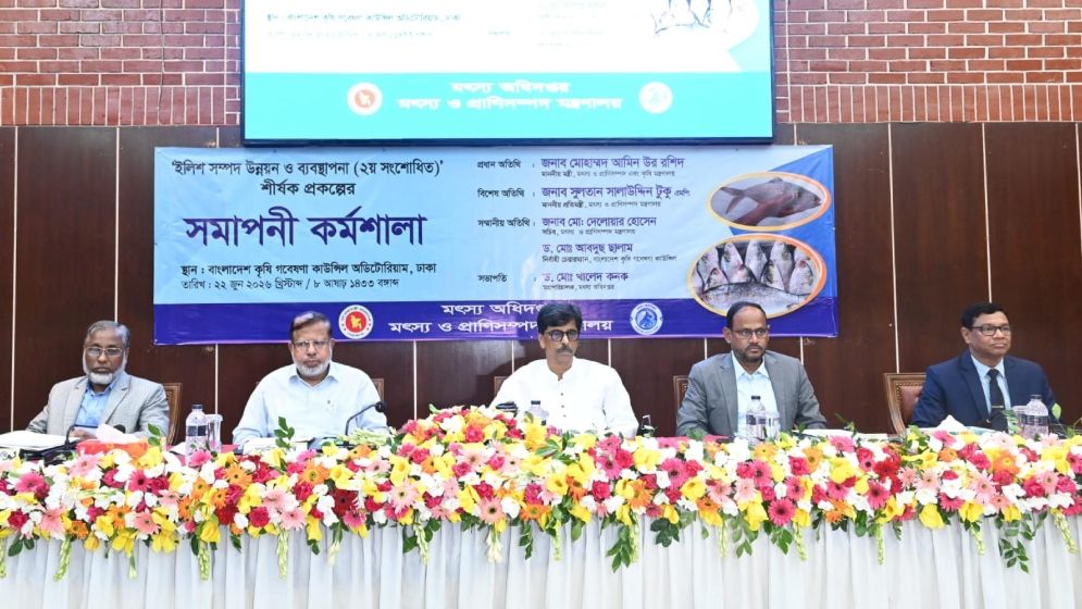 আন্তর্জাতিক বাজারে ইলিশ রপ্তানির সক্ষমতা বৃদ্ধি করতে হবে