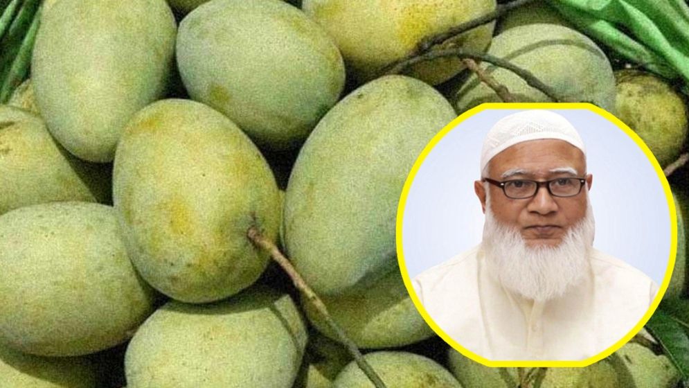 সংসদের সবাইকে ১০ কেজি করে আম উপহার দিলেন বিরোধীদলীয় নেতা