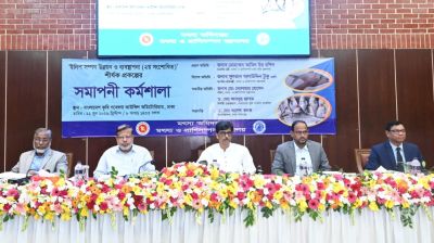 আন্তর্জাতিক বাজারে ইলিশ রপ্তানির সক্ষমতা বৃদ্ধি করতে হবে