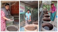 কেঁচো সারে ভাগ্যের চাকা ঘুরল চিরিরবন্দরের ৩৯ উদ্যোক্তার