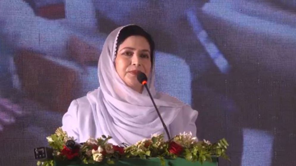 স্বাস্থ্য সংকট মেটাতে তরুণ উদ্যোক্তা তৈরির বিকল্প নেই: ডা. জুবাইদা রহমান