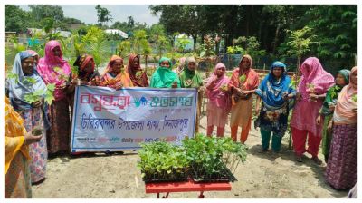 গ্রামীণ নারীদের স্বাবলম্বী করতে চিরিরবন্দরে বসুন্ধরা শুভসংঘের সবজি চারা বিতরণ