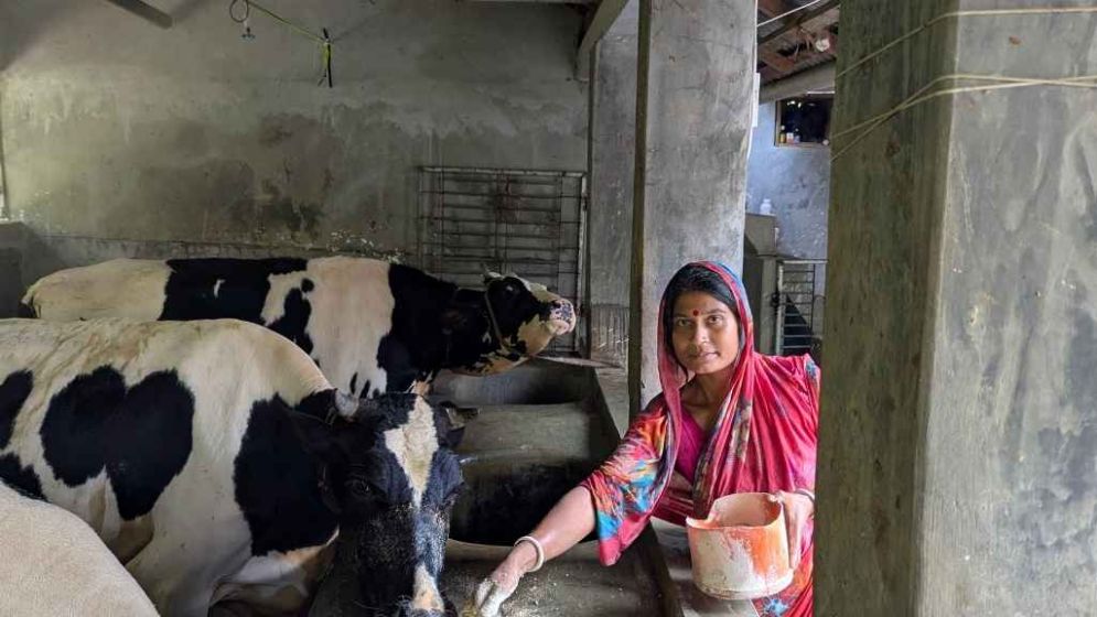 আরইসিপি পদ্ধতিতে পিয়া বিশ্বাসের খামার এখন টেকসই উদ্যোক্তার রোল মডেল