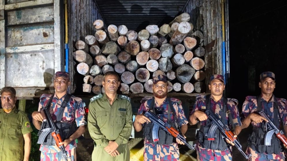 হবিগঞ্জে বিজিবির অভিযানে ৬০ লাখ টাকার গর্জন কাঠ ও কাভার্ড ভ্যান জব্দ