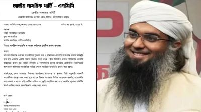 প্রধানমন্ত্রীকে নিয়ে আপত্তিকর পোস্ট, সালাউদ্দিন তানভীরকে আবারও অব্যাহতি দিল এনসিপি