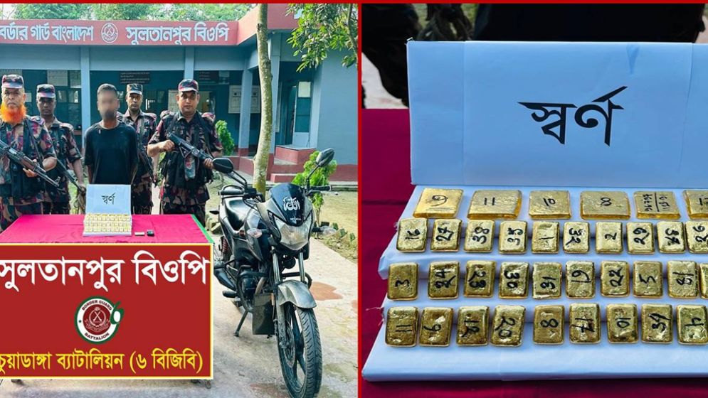 দর্শনা সীমান্তে বিজিবির অভিযানে প্রায় ৭ কেজি স্বর্ণ জব্দ, আটক ১