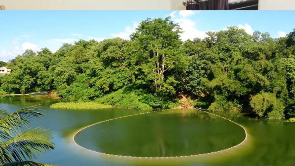 কাপ্তাই হ্রদে মৎস্য আহরণ শুরু মঙ্গলবার