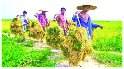কৃষি হচ্ছে প্রযুক্তিনির্ভর