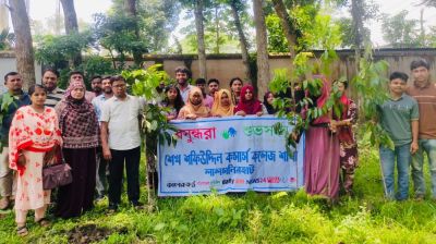 বসুন্ধরা শুভসংঘ শেখ শফিউদ্দিন কমার্স কলেজ শাখার  উদ্যোগে বৃক্ষরোপণ কর্মসূচি