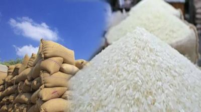 সুগন্ধি চালের রপ্তানি কোটা কমাচ্ছে সরকার
