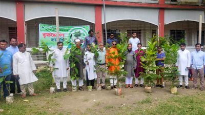 গোড়াই গ্রাজুয়েটস ক্লাবের বৃক্ষরোপণ কর্মসূচির উদ্বোধন