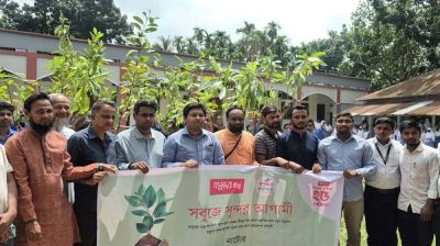 বসুন্ধরা টিস্যু ও শুভসংঘের উদ্যোগে সিংড়ায় বৃক্ষরোপণ