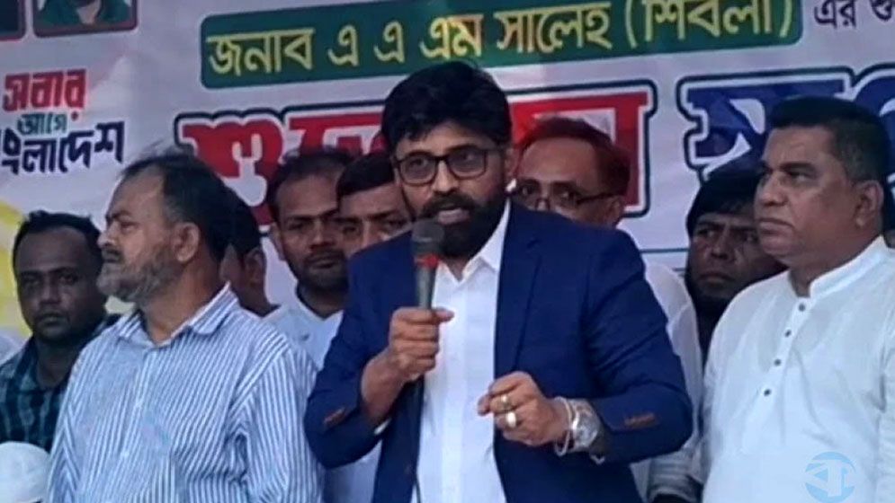গ্যাস আমদানির নামে ১৭ বছর লুটপাট করা হয়েছে : প্রধানমন্ত্রীর প্রেস সচিব