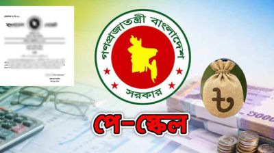 নতুন পে-স্কেলে সরকারি কর্মচারীরা পাচ্ছেন ৫ সুখবর