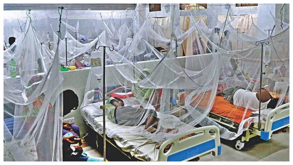 ২৪ ঘণ্টায় ডেঙ্গু আক্রান্ত ৫১২, ভর্তি হাসপাতালে