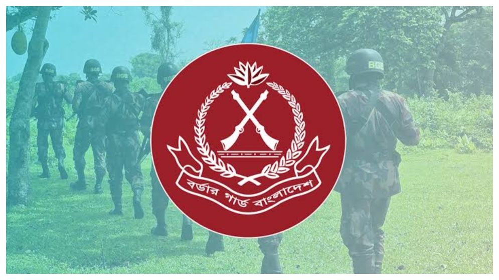 কক্সবাজারে বিজিবির অভিযানে ২ লাখ ৯৪ হাজার ইয়াবাসহ আটক ২