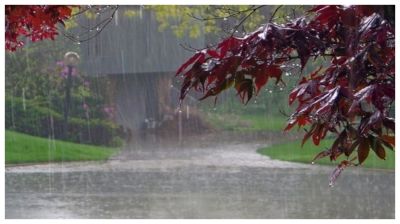 আগামী তিন দিন ৪ বিভাগে ভারী বৃষ্টিপাতের শঙ্কা