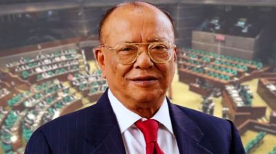 বন্যপ্রাণী অপরাধ দমনে আঞ্চলিক সহযোগিতা জরুরি: পরিবেশমন্ত্রী