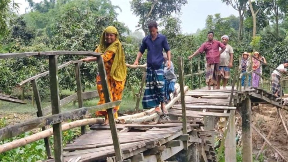 ঠাকুরগাঁওয়ে ঝুঁকি নিয়ে সাঁকো পারাপার শিক্ষার্থী-রোগীদের